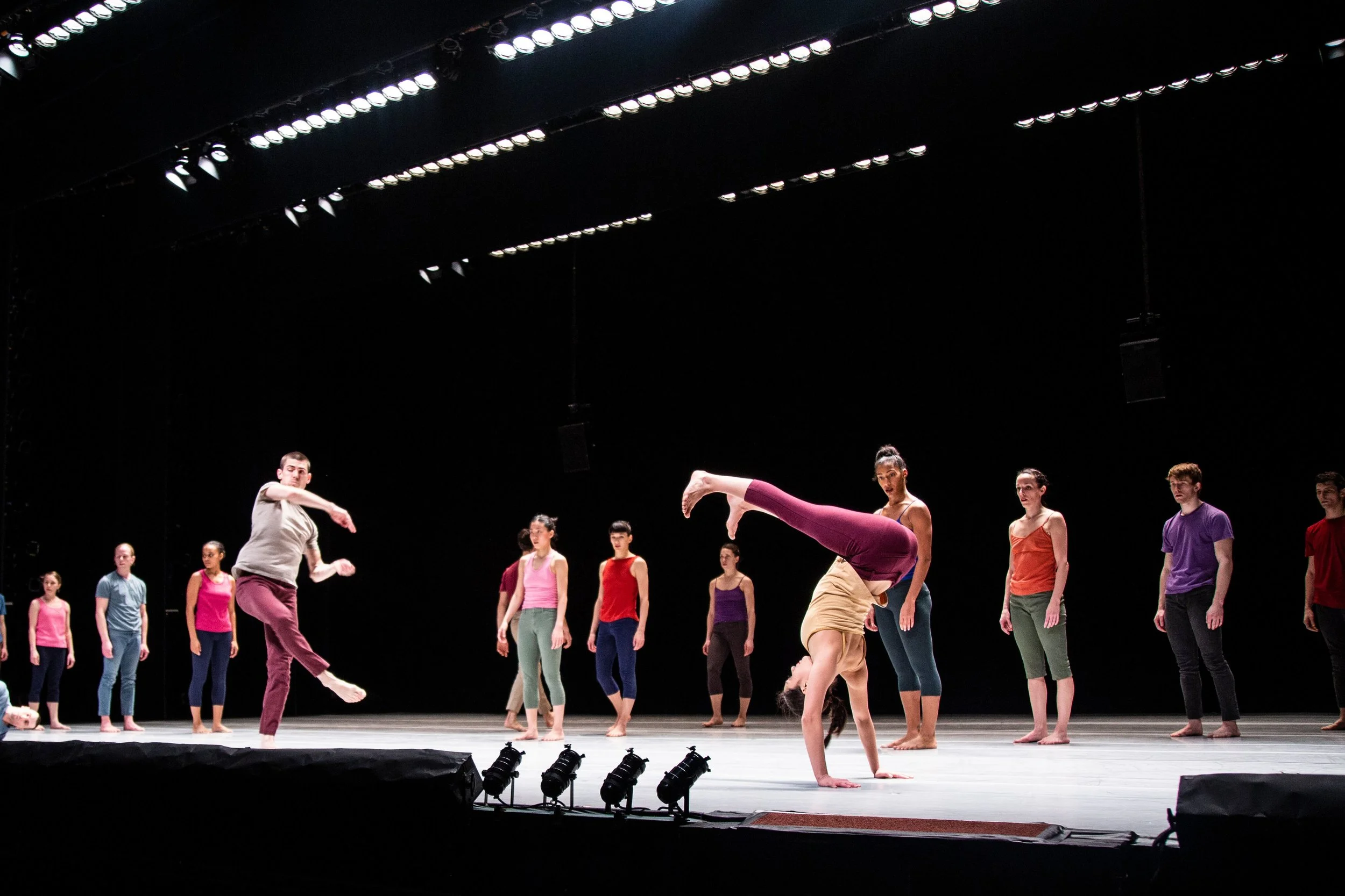 Decadance Chicago- Ohad Naharin