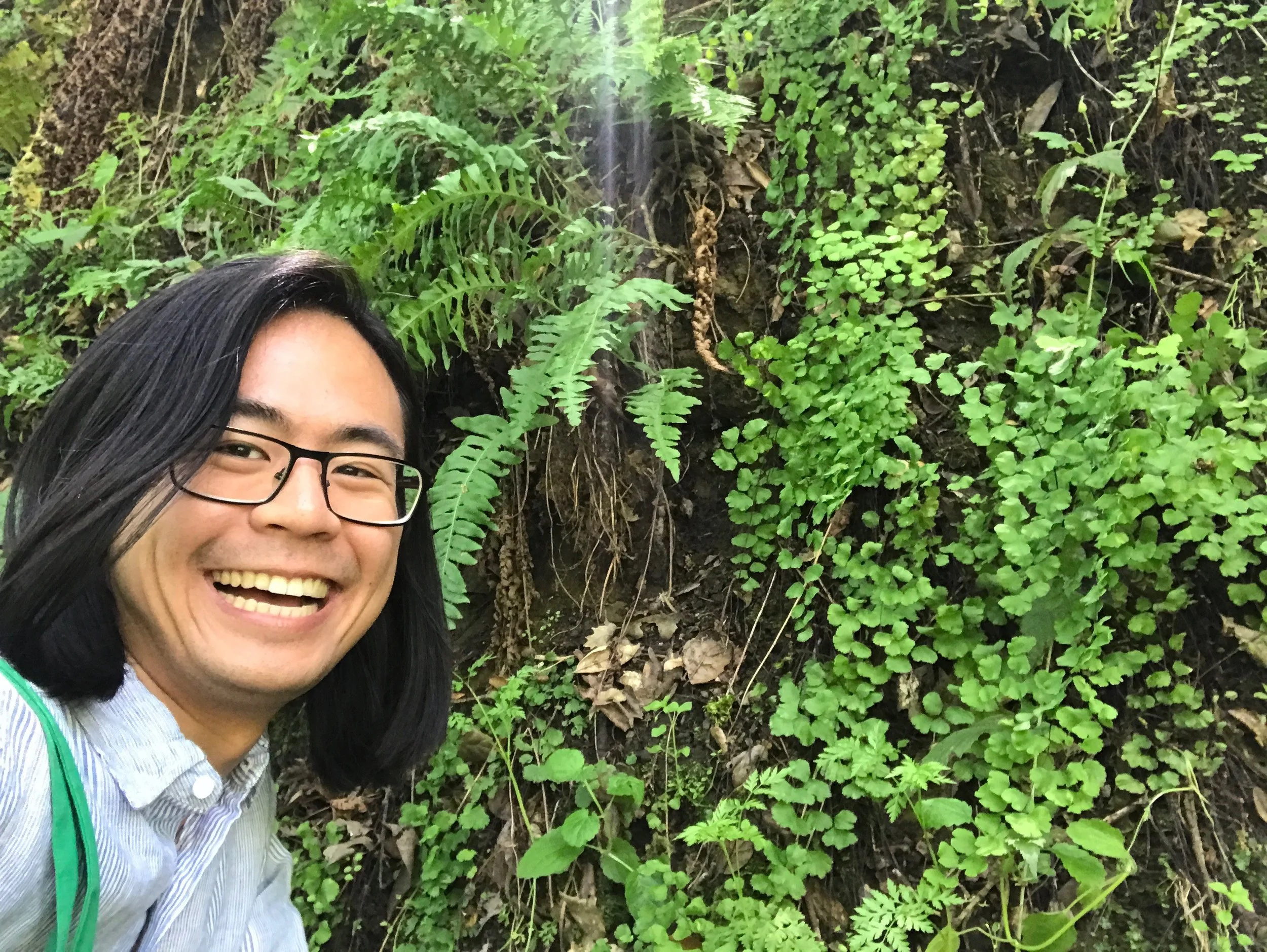 Michael Song
