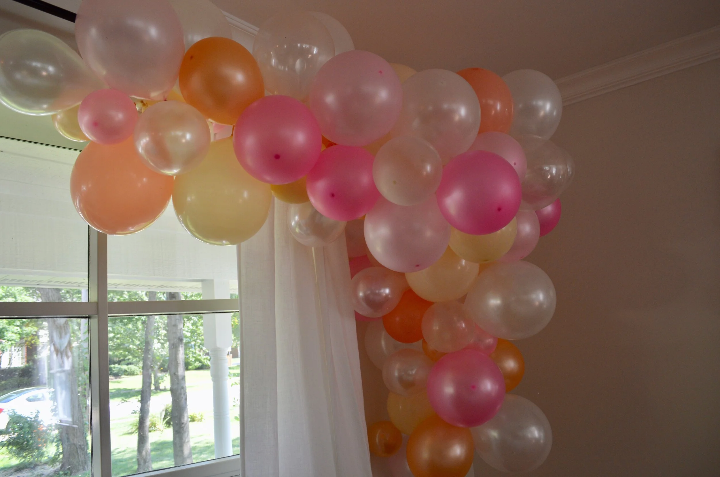 DSC_0157.jpeg
