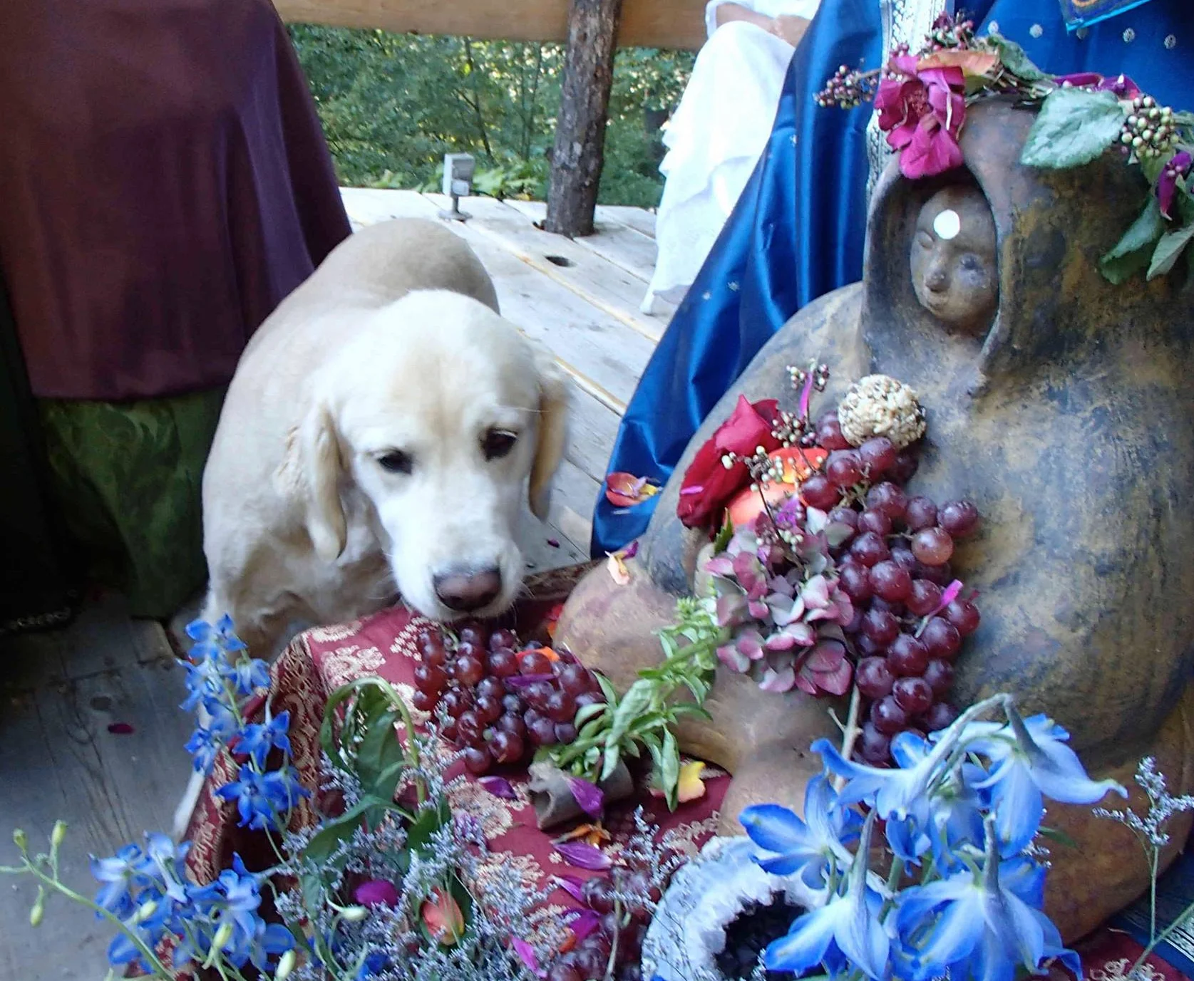 whinni wedding grapes crop.jpg