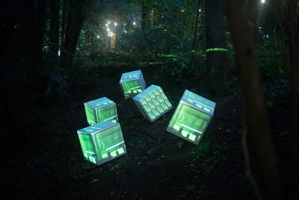 In The Woods