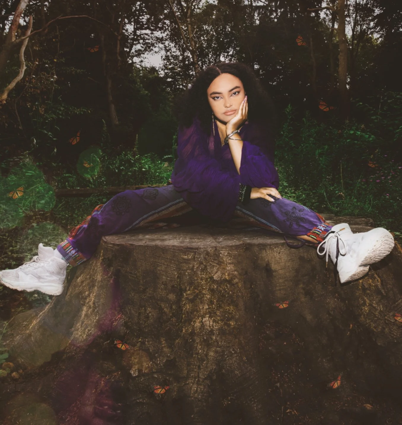 Where Are The Butterflies? 