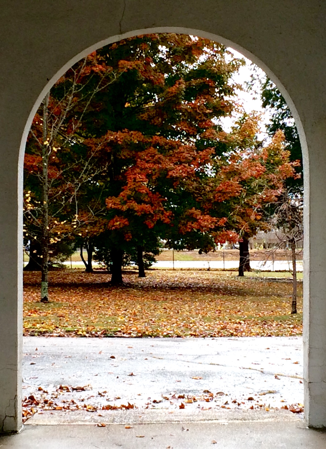 Walkway in Autumn