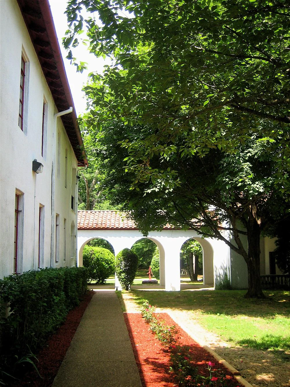 Courtyard (2010) - this tree has since been replanted, and there are a lot more flowers!