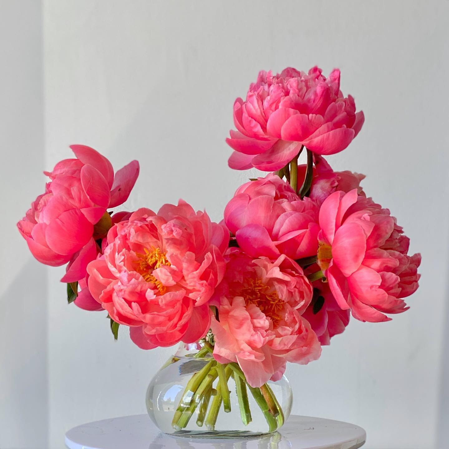 Coral. Charm. Peony. 

I do love a million varieties in a palette but at times it feels fresh to design with just one. 

&hellip;

#passionforflowers #floraldesigner #eventflorist #flowers #floristry #creativeflowers #scultpturalflowers #floralarrang