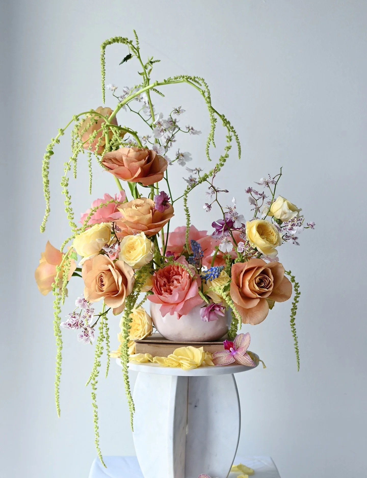A snapshot of my brain lately.

Swirls of thoughts, ideas, to dos, worries, memories, dreams, and all the things.

&hellip;
#flowers #amaranthus #florist #weddingflorist #wedding