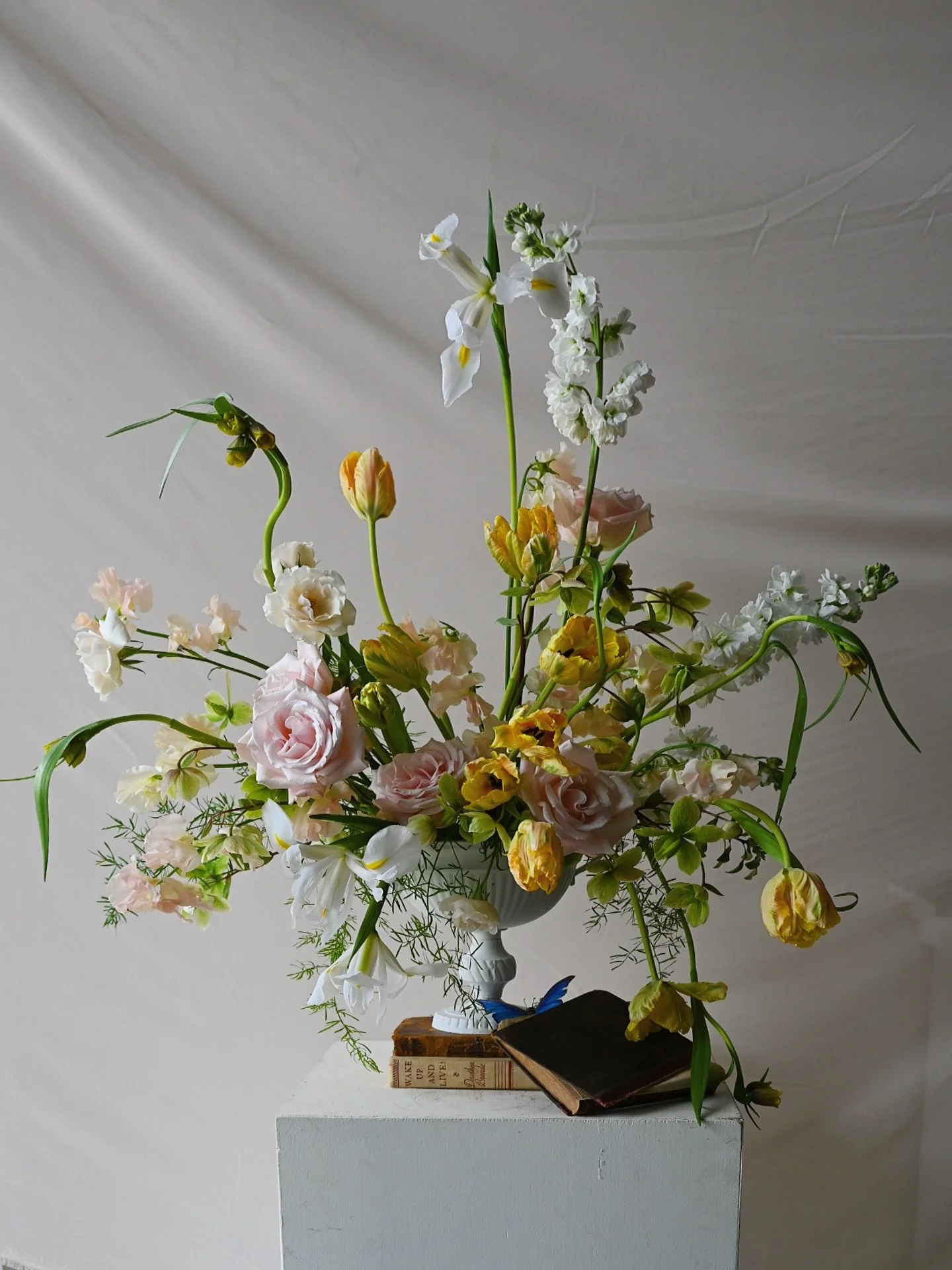 Those parrot tulips be giving me life these days 🦜

Also loving this palette for my green and white bridal girlies, pop of peach or yellow to break it up a bit. Can still be subtle and feel fresh. Ya with me? 

Vessel @jamaligarden 

Bloom list:

Ro