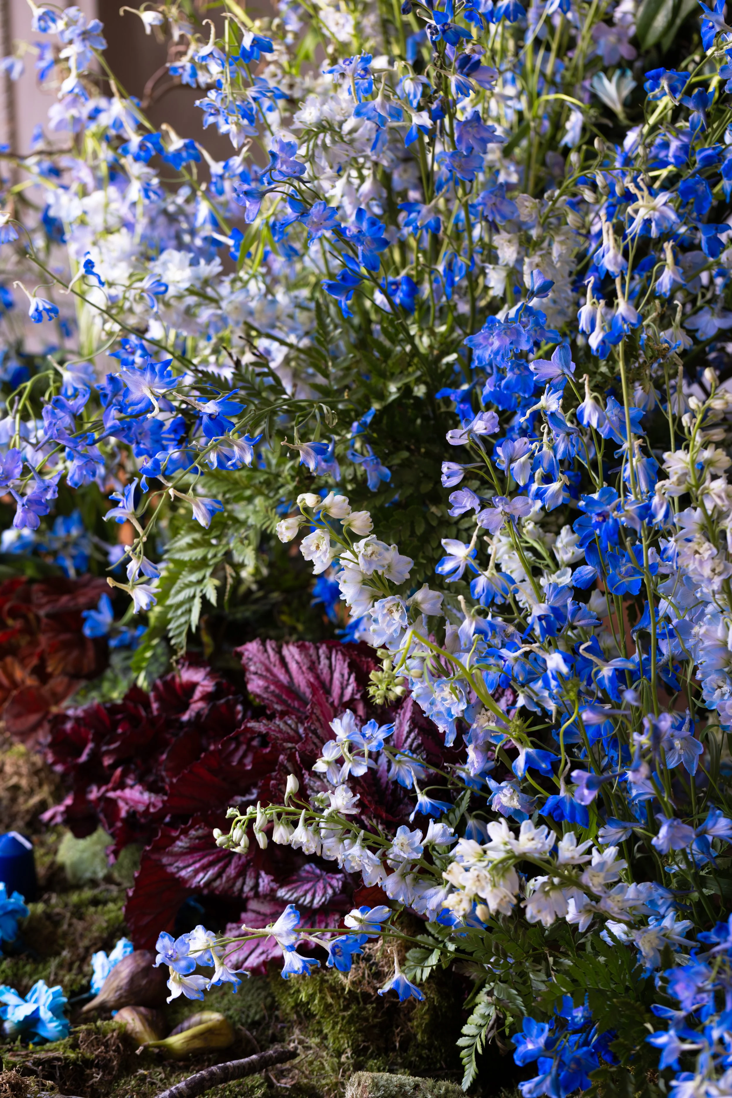 Paulina Nieliwocki - Blue Jasmine 10 Installation.jpg