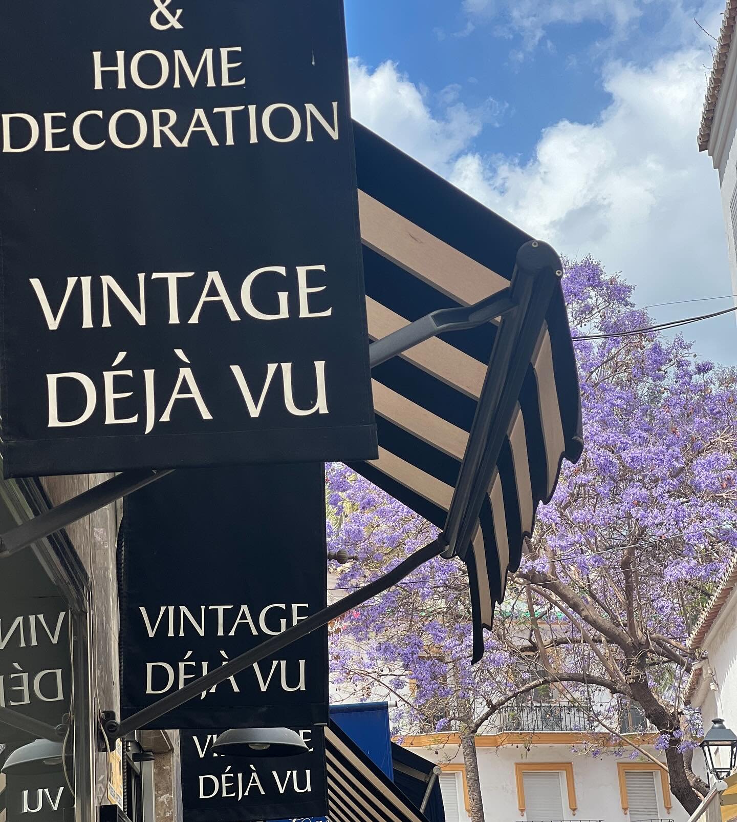 Jacarandas in #plazavictoriamarbella