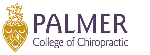 Palmer logo