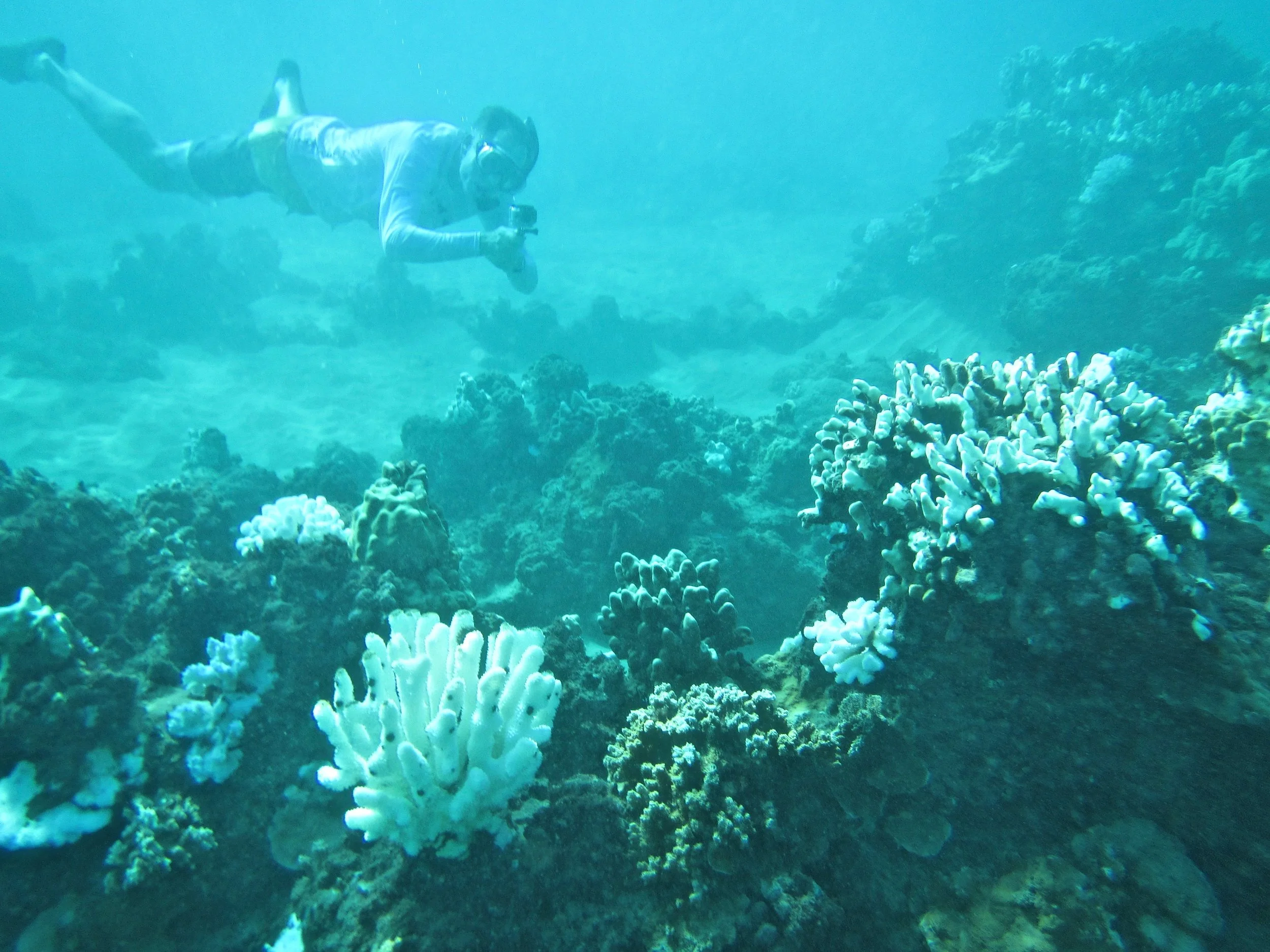 duane and bleached coral.jpeg