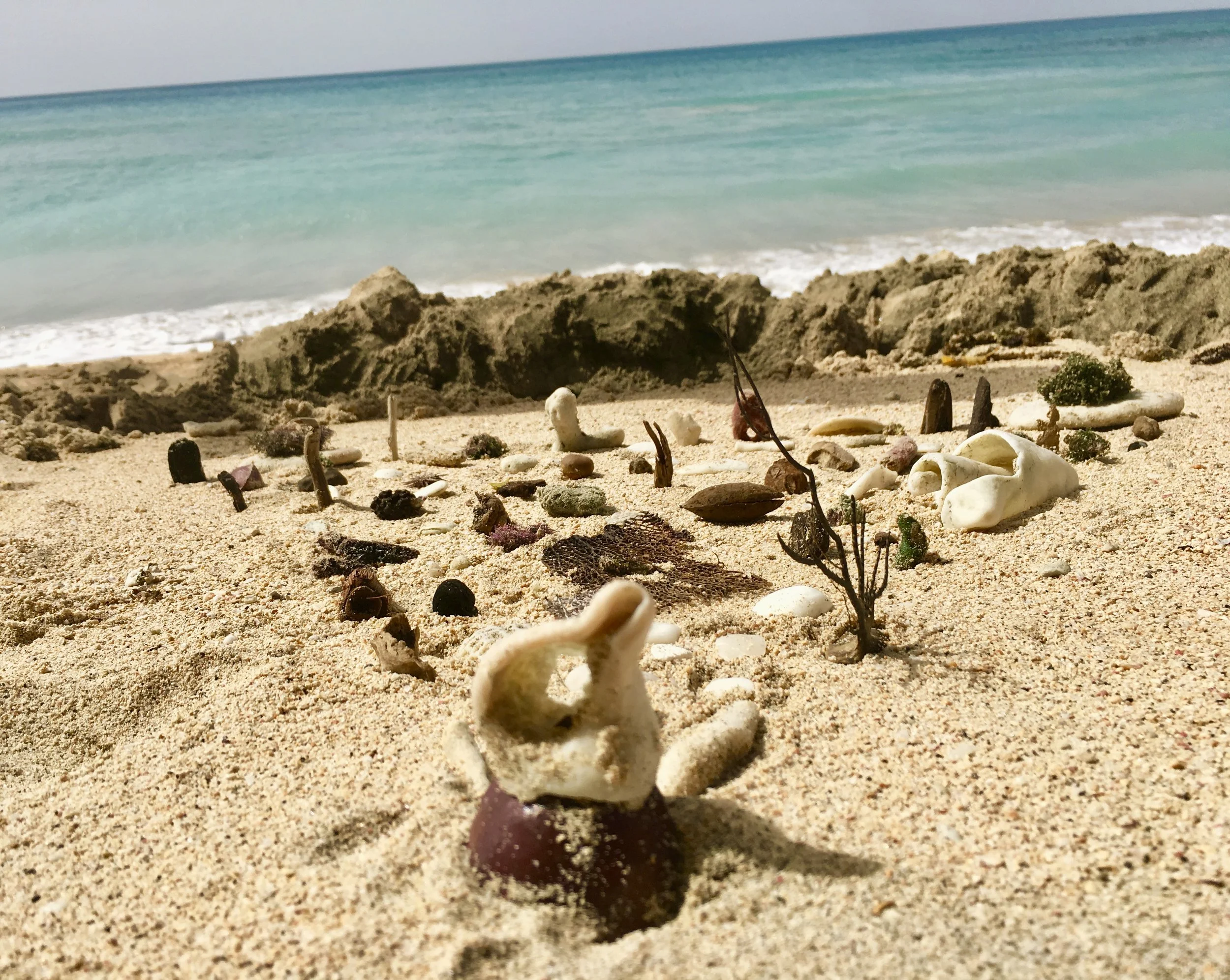 Island Squad About Us