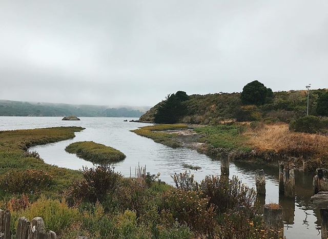 Spent last weekend in the Bay Area. Chilly summer afternoons spent downing dozens of oysters and shoveling hunks of freshly buttered bread is how we began our time at Hog Island. The discovery of extra jackets, ordering of an extra bottle of wine, an