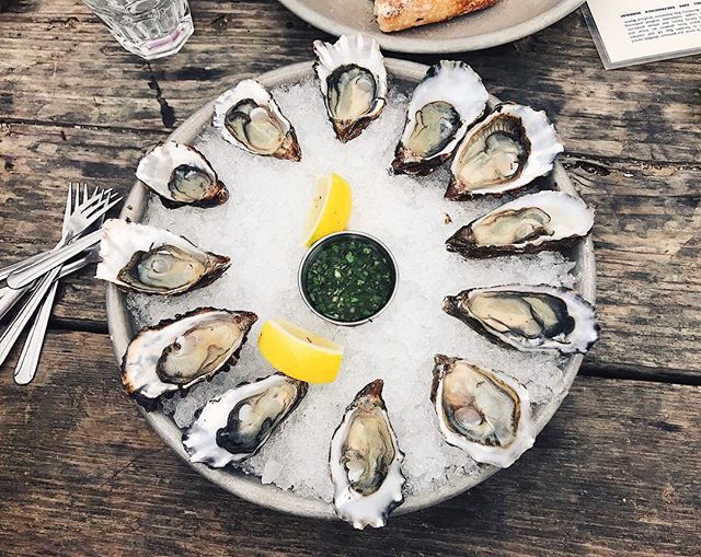 Hog Island Oyster Farm is as fresh as they come. #oysters #yum #eeeeats #sf #eatersf #hogisland #hogislandoysters #seafood #food #foodblog #foodie #summer #vacation