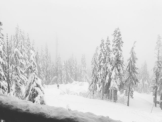 Christmas time in Vancouver @grousemountain is truly magical. #christmas #snow #whiteout #winter #canada #vancouver #travel #explore #travelgram #travelblogger #frosty #christmastime