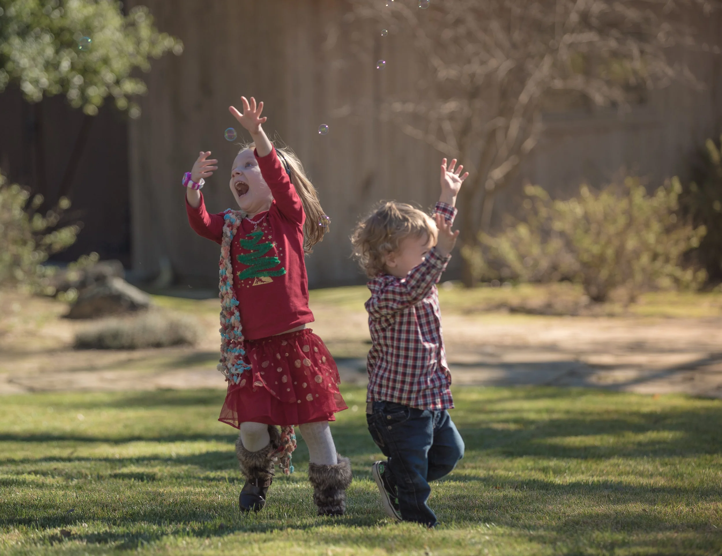 Neal Christmas 2014-12.jpg