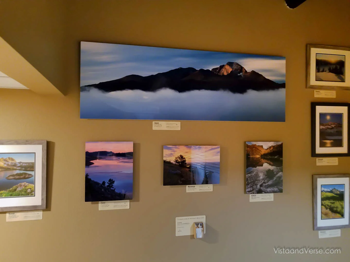 gallery hung.jpg