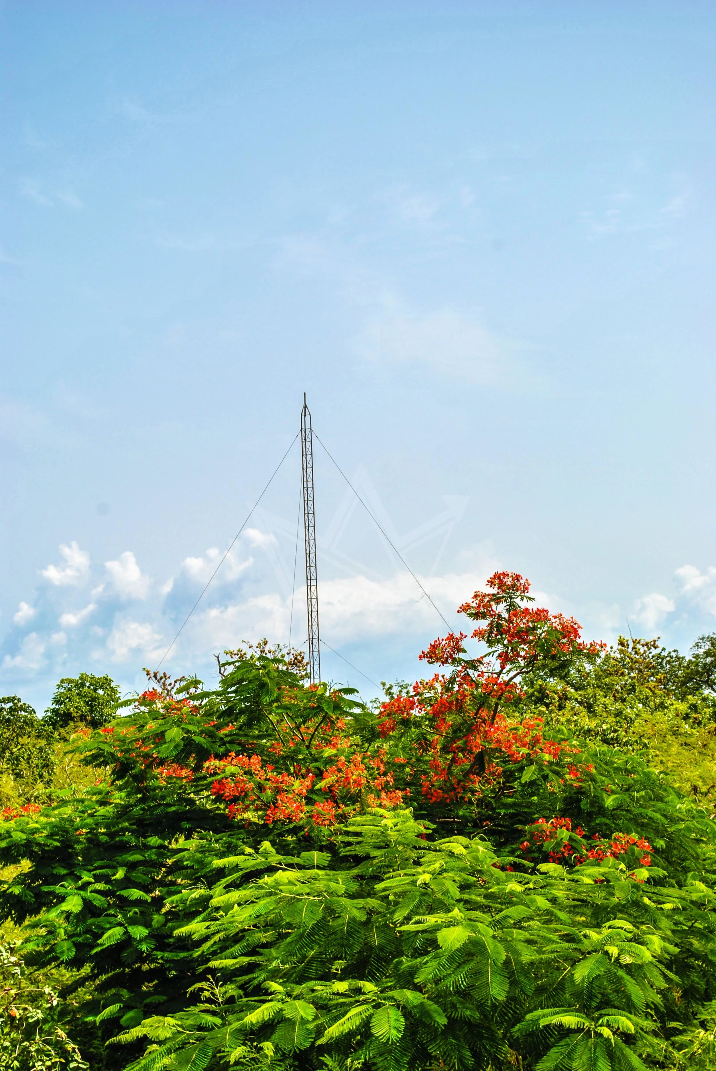 Tower Used to Communicate with Bahamasair in Previous Years