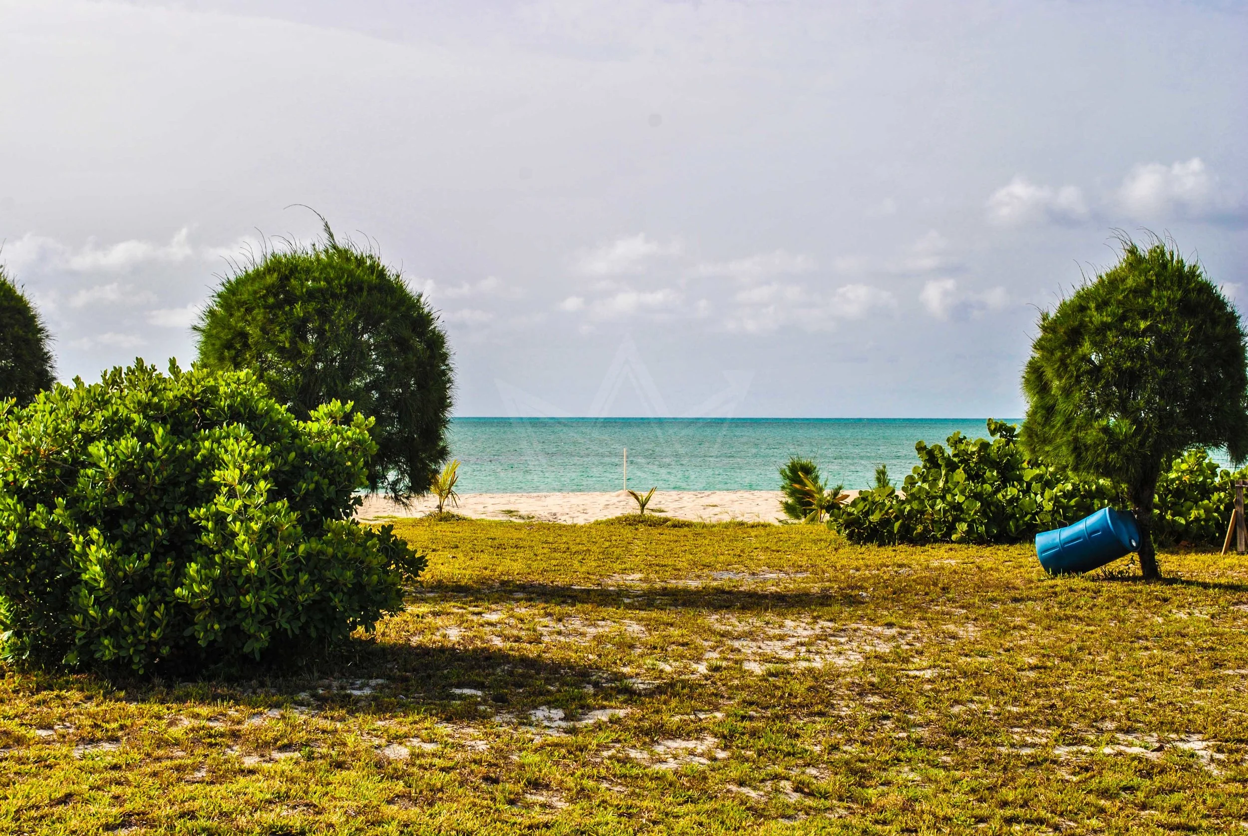 Beach at Major's Cay