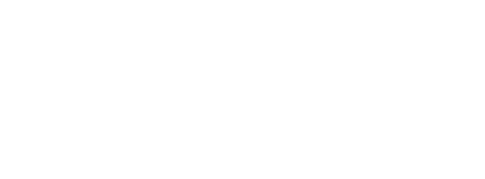 Apple Technical Partner