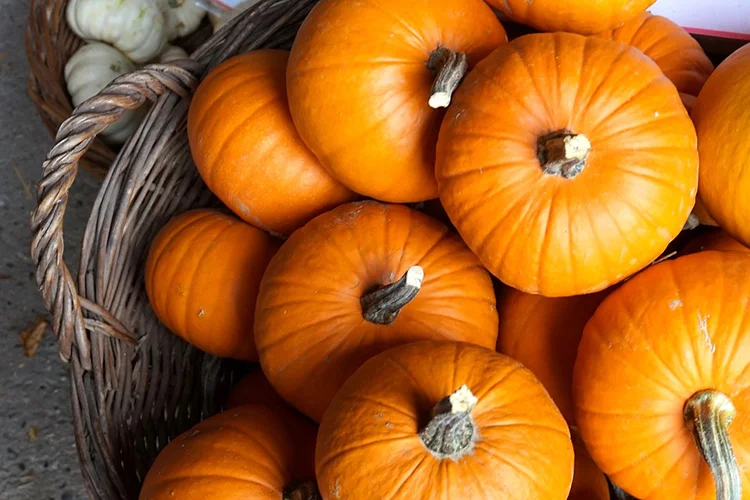 5 CONSEILS POUR UNE SAISON D'HALLOWEEN EN SANTÉ