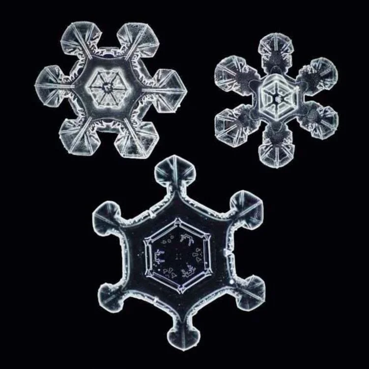 Snowflake Study