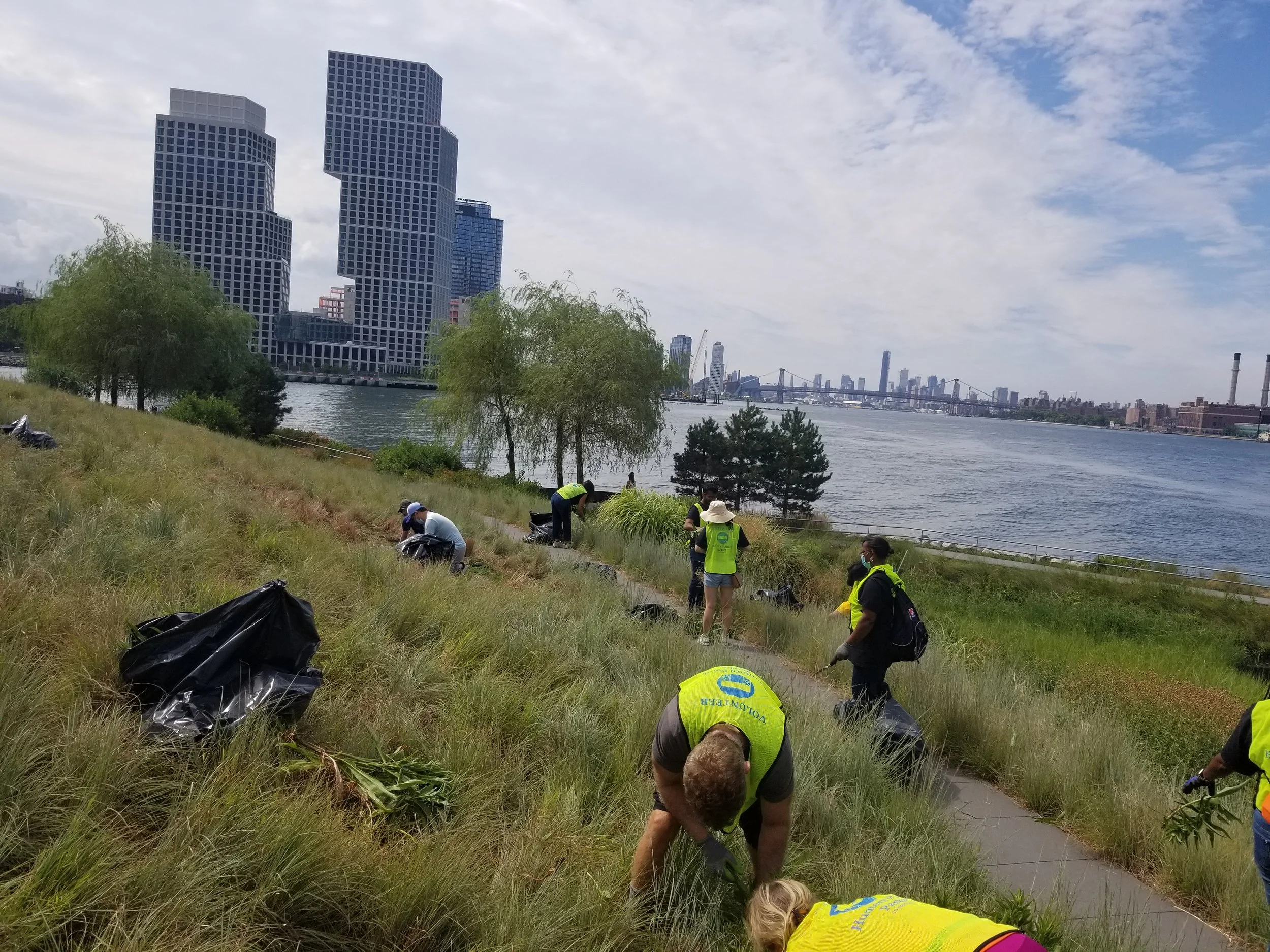 Volunteer Gardening