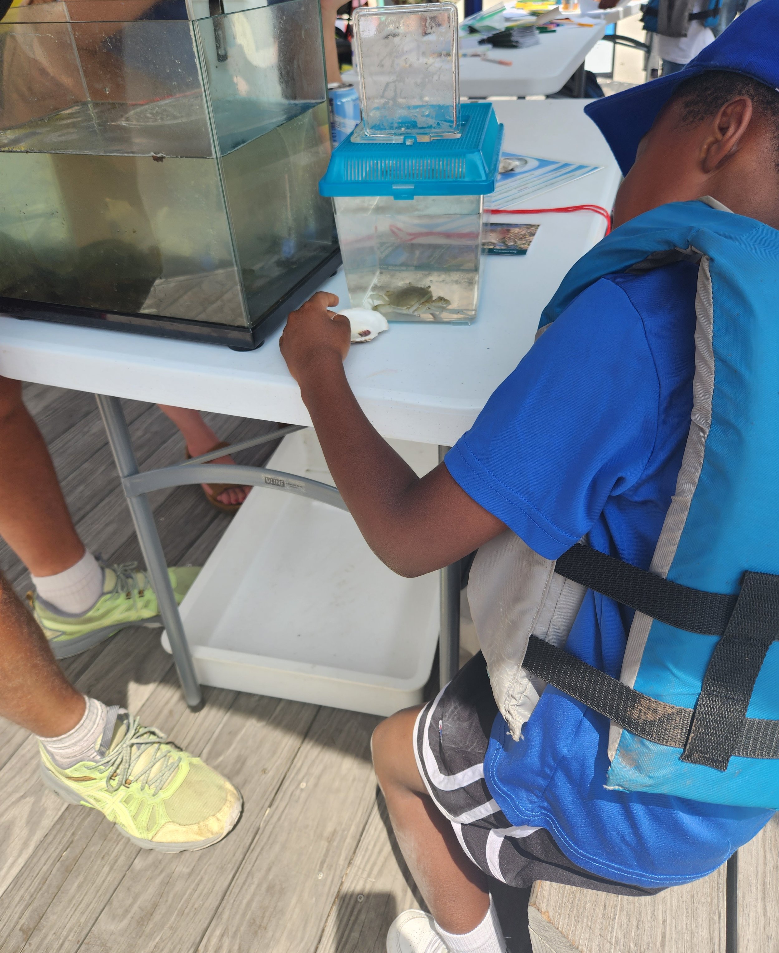 Young boy examining a crab from Newtown Creek before boating.jpg