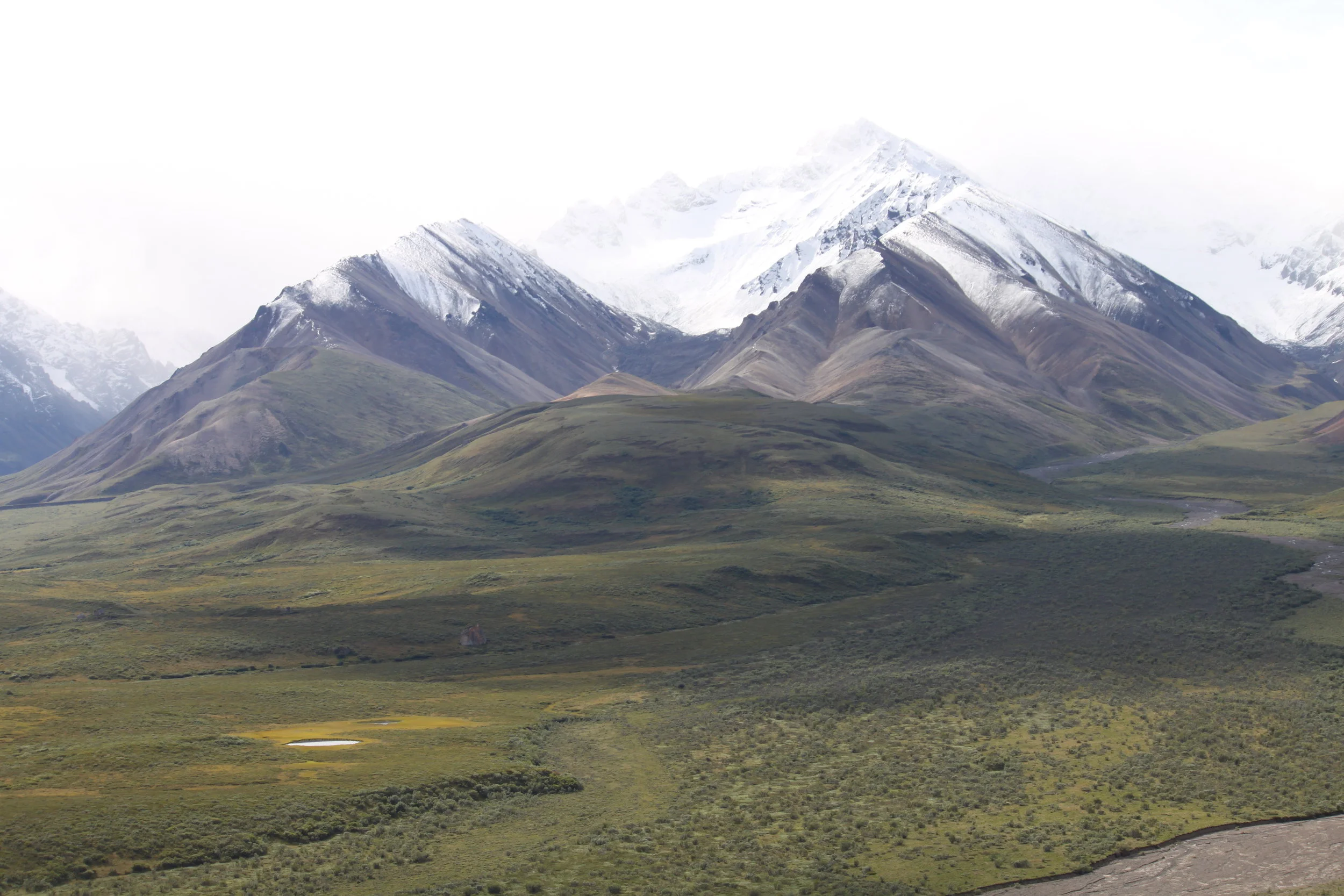 Denali National Park