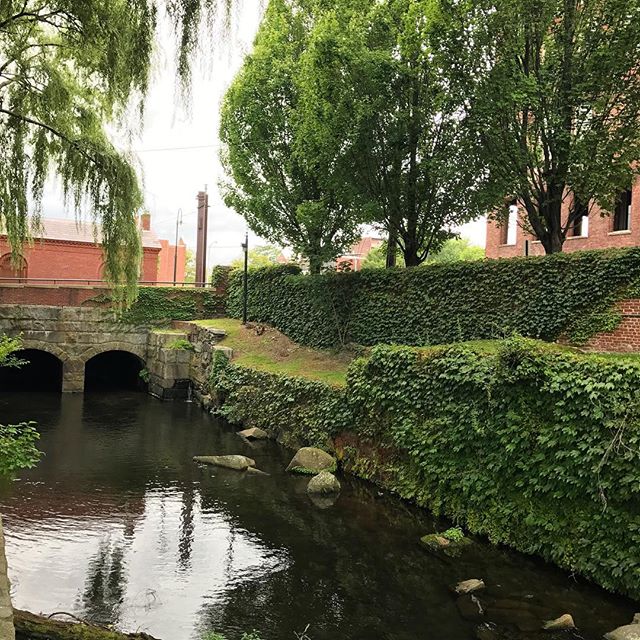 The overgrown vines on the this canal @lowellnps made my day today! I work in an office with no windows but was at a training session this morning and got to stop for a few minutes on my walk to enjoy the canal.