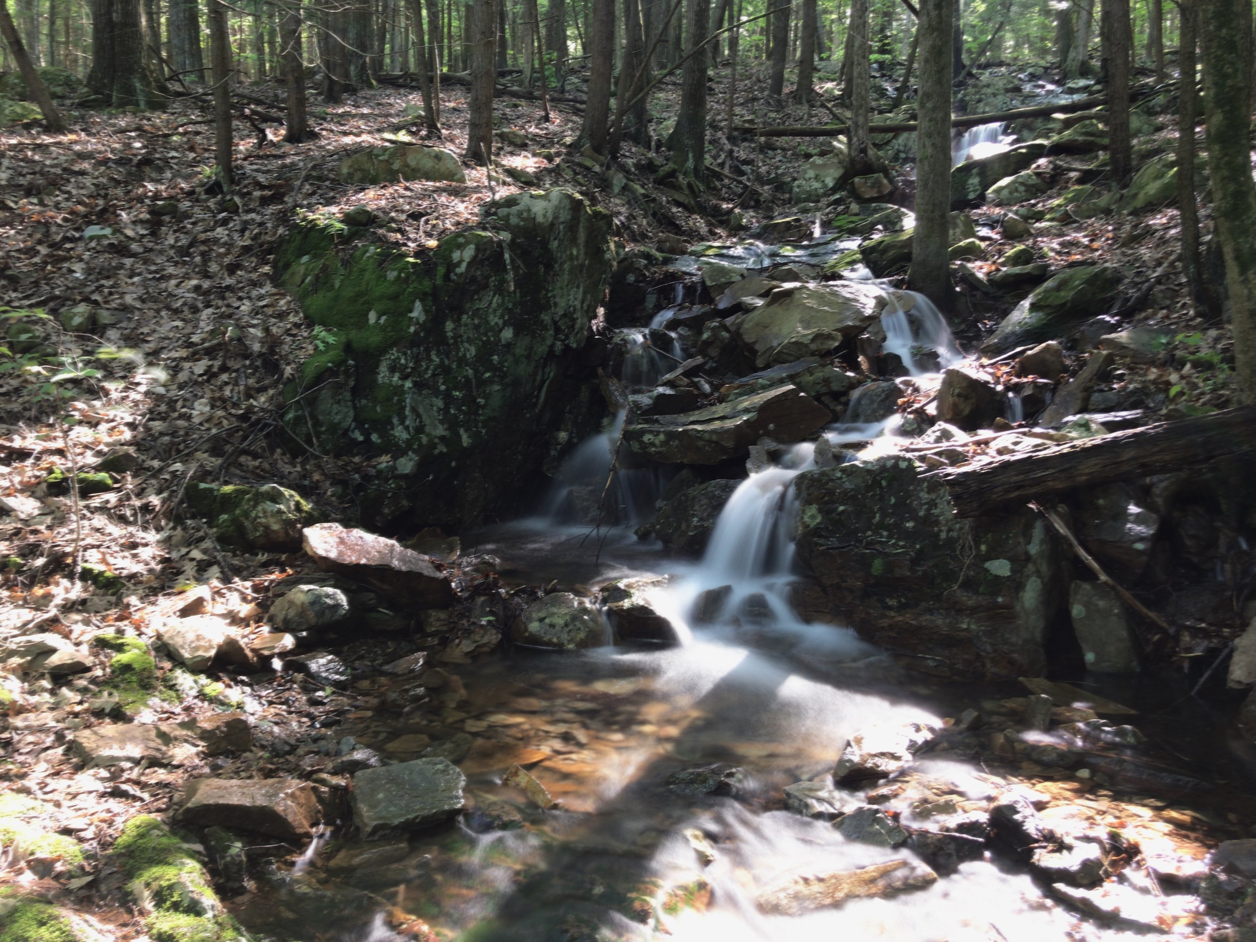 Just steps from our October Mountain State Forest Camp Site.