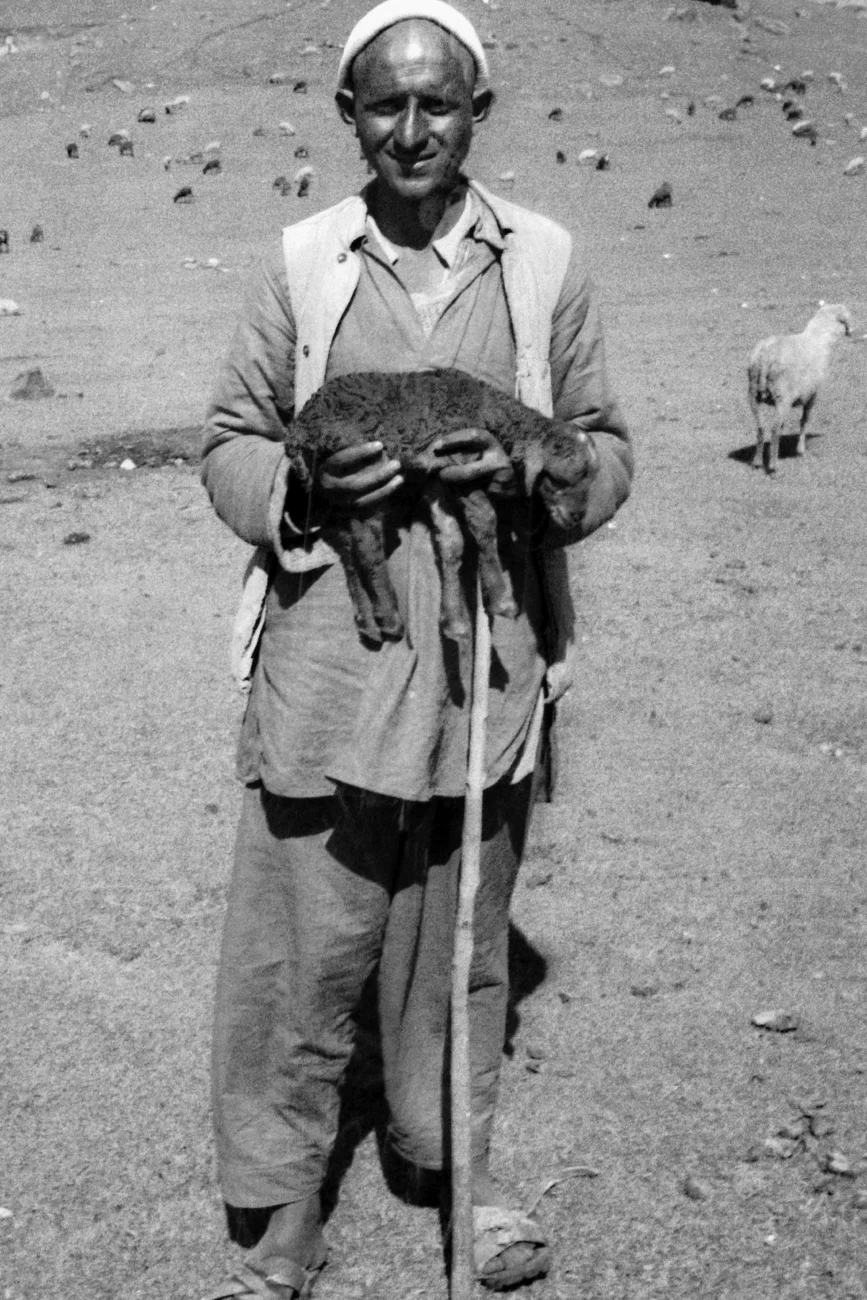 6-Kashmir shepherd at Sonamarg meadow-53.JPG