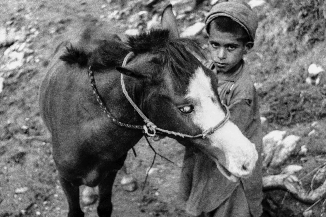 18-Kashmir boy with pack horse-48.JPG