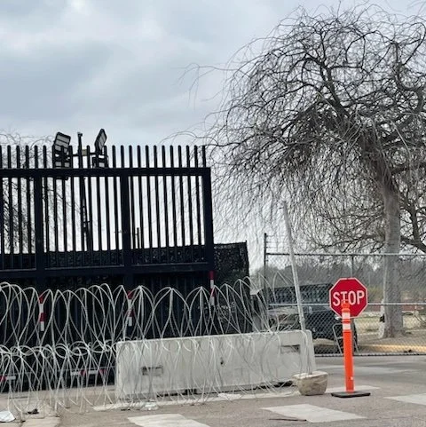 Vultures Over Eagle Pass
