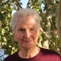 Willis's Wisdom For a Woebegone World