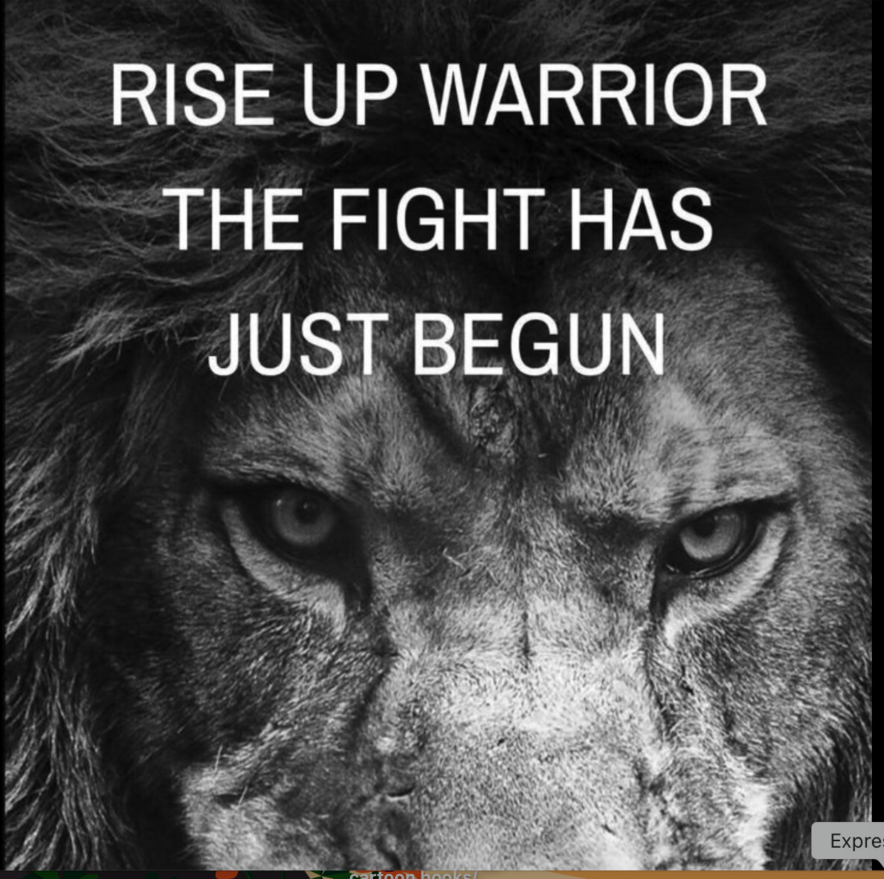 Our Annus Horribilis