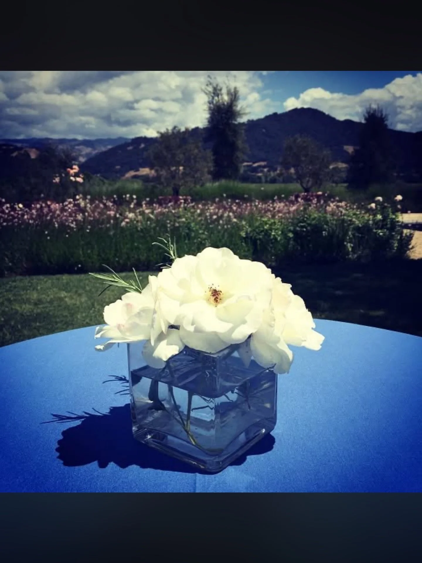 Centerpieces anchor the table.

They set scale, define style, and tie every place setting together. If the centerpiece is strong, the table works!

#PuraEventDesign
#Centerpieces
#Tabletop
#EventPlanning
#EventDesign