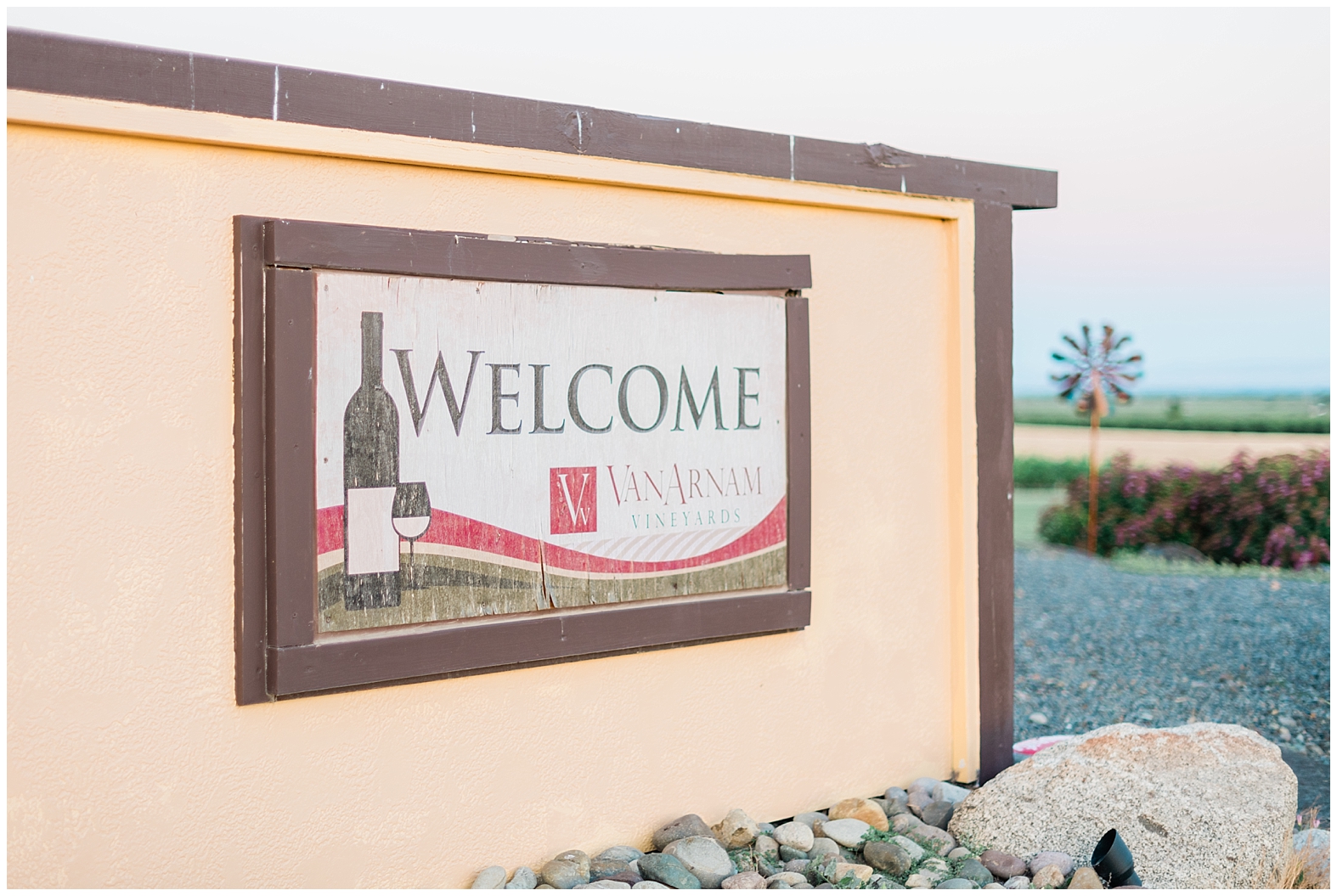 Vineyard Wedding | Janet Lin Photography