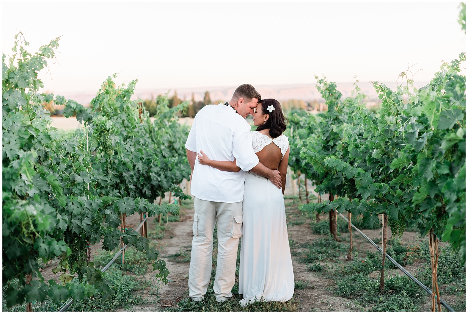 Vineyard Wedding | Janet Lin Photography