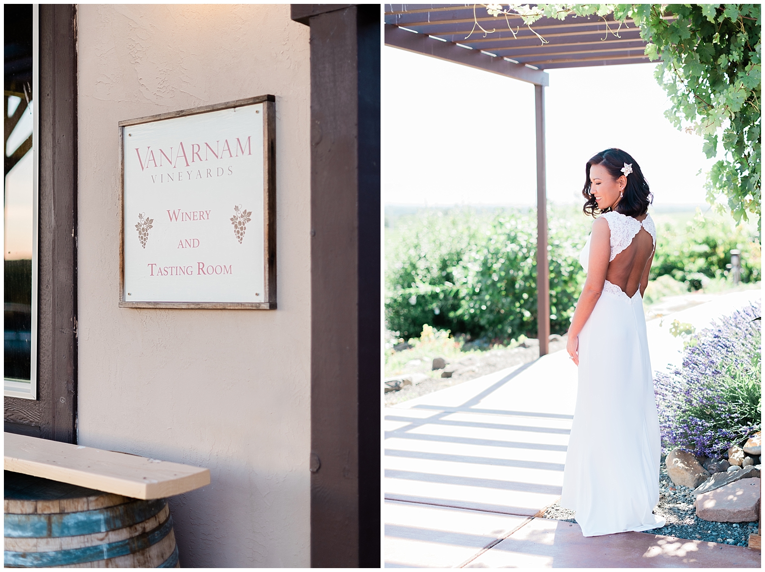 Vineyard Wedding | Janet Lin Photography