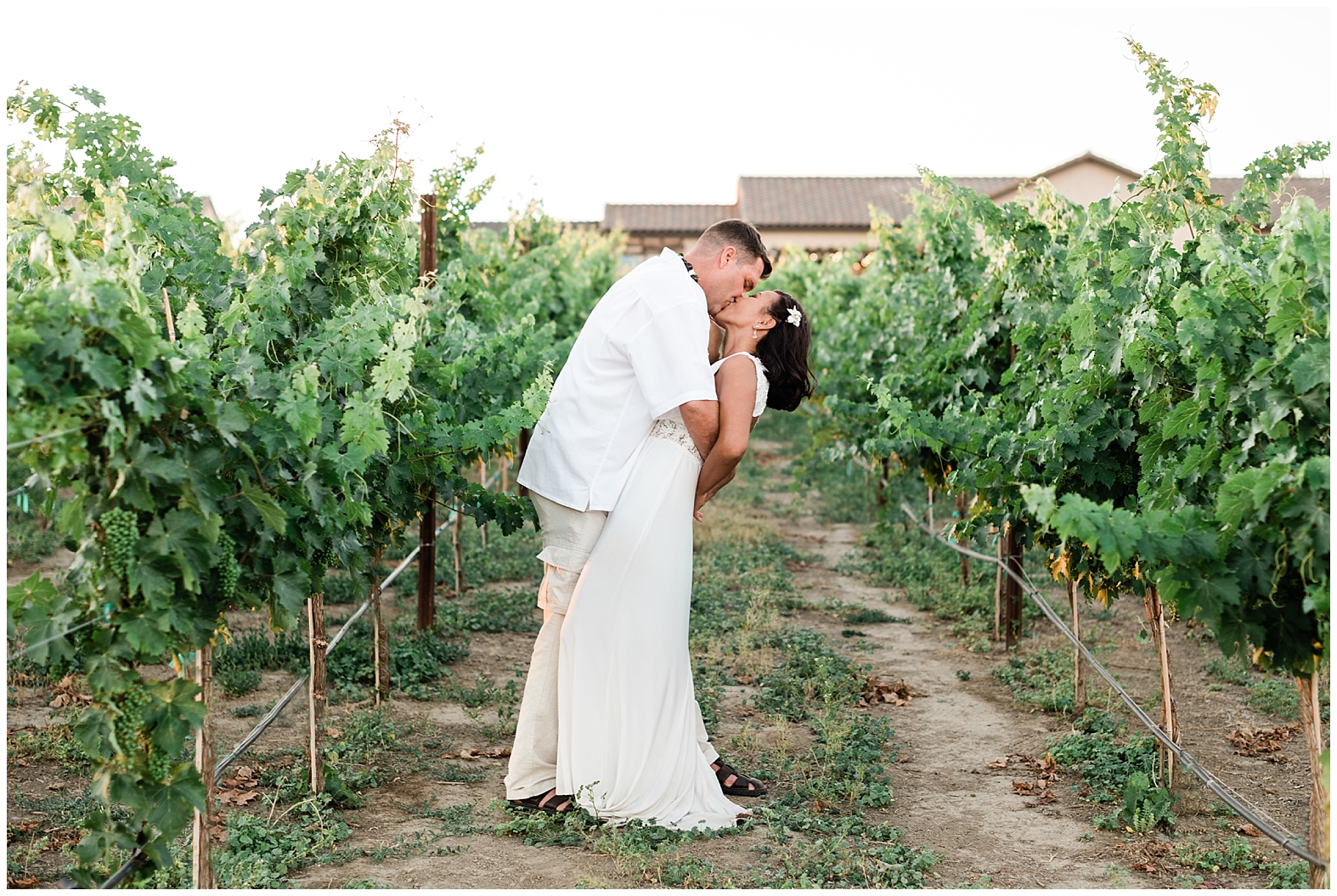 Vineyard Wedding | Janet Lin Photography