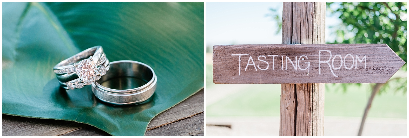 Vineyard Wedding | Janet Lin Photography