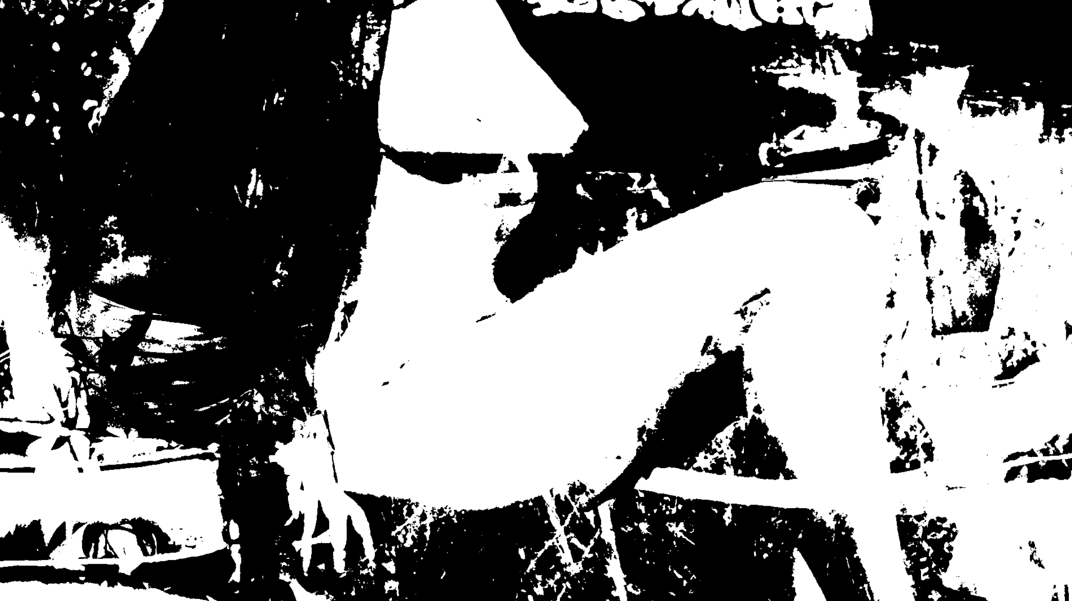 Screen Shot 2025-08-04 at 9.43.49 AM.png