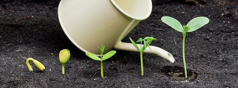 watering-plants-75957932-900x600.jpg
