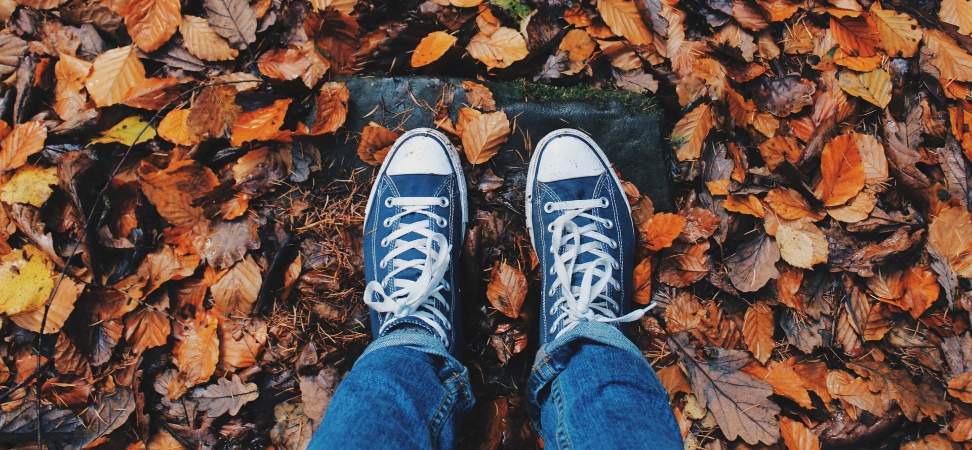 shoes_leaves.jpeg