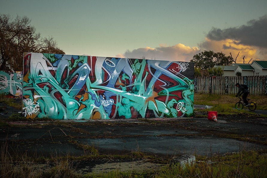 Glen Innes, Auckland 2013