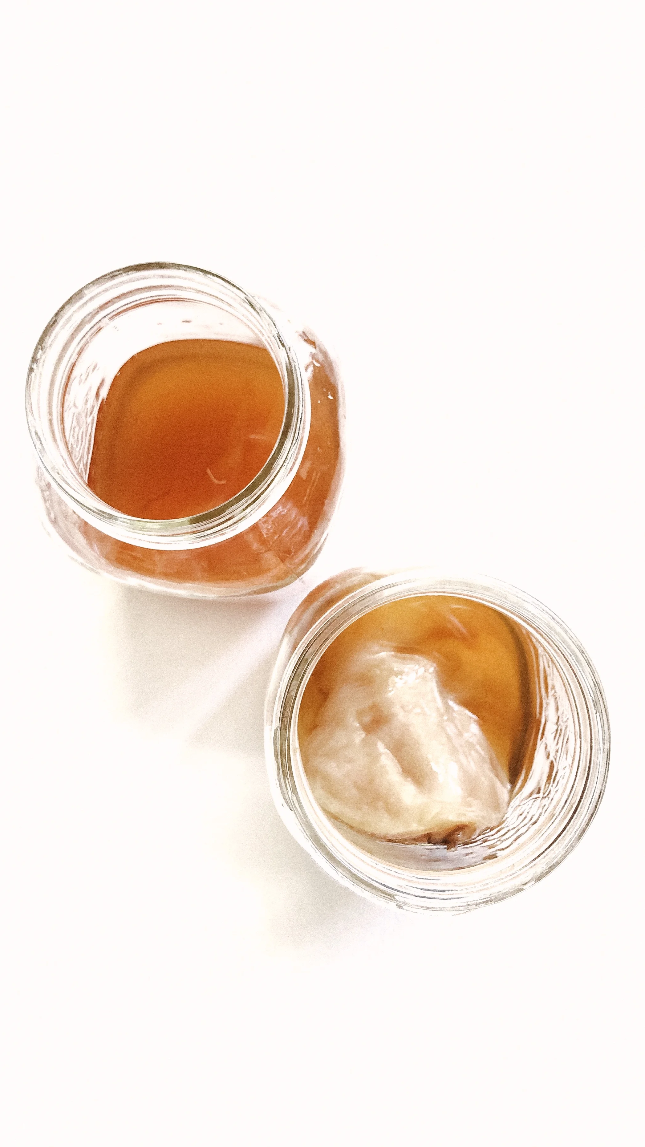 How to Brew Your Own Kombucha