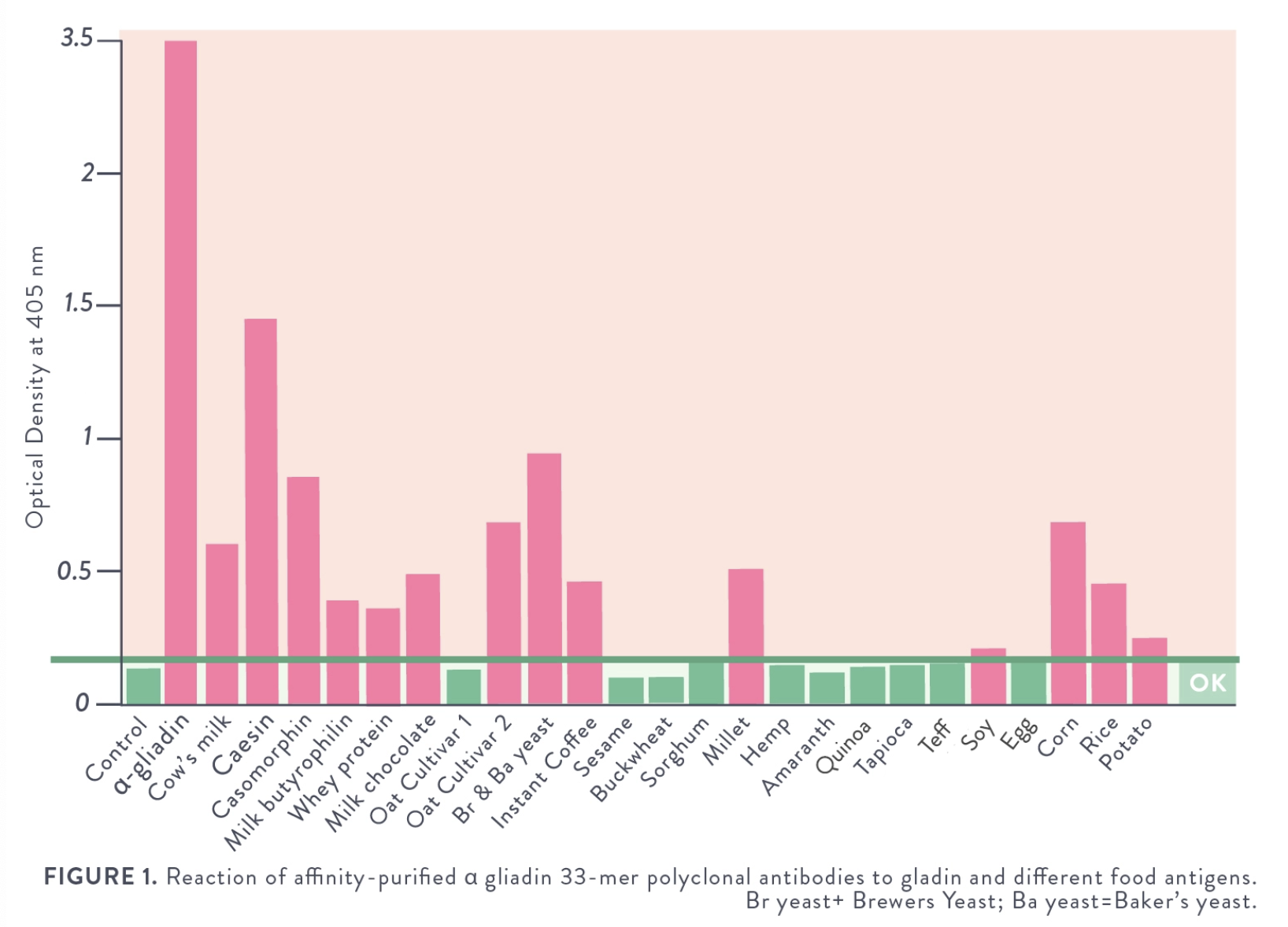 Gluten Antibody CrossReactivity in Celiac Disease — The Realistic Holistic