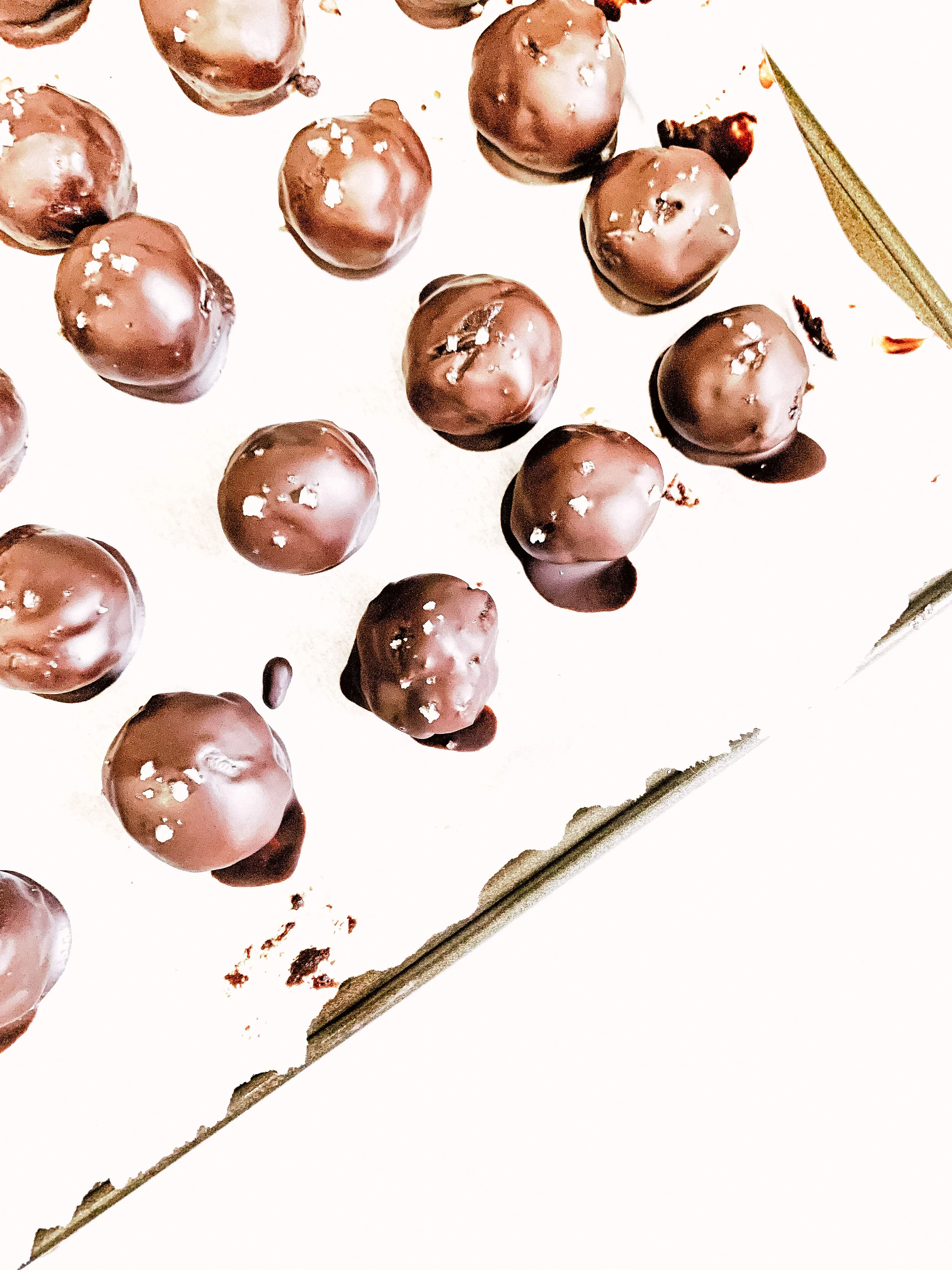 Peppermint Chocolate Truffles (Paleo, GF, DF, V)