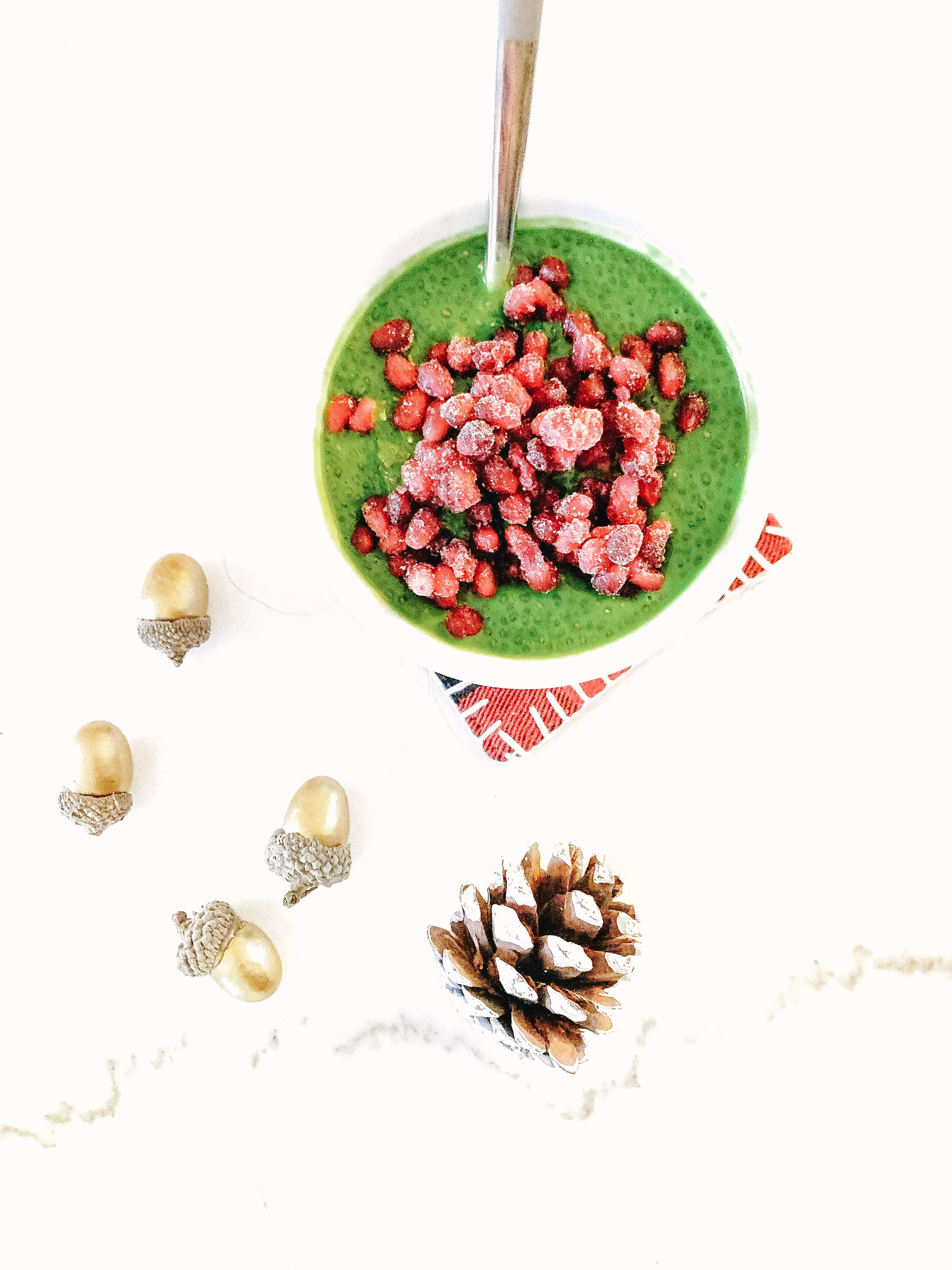 The Grinch Who Stole my Chia Pudding! (Paleo, GF, DF, V)